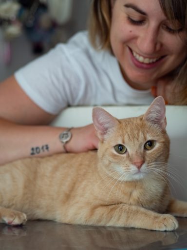 Chat-perlipopette, flagrant délit de papouille !